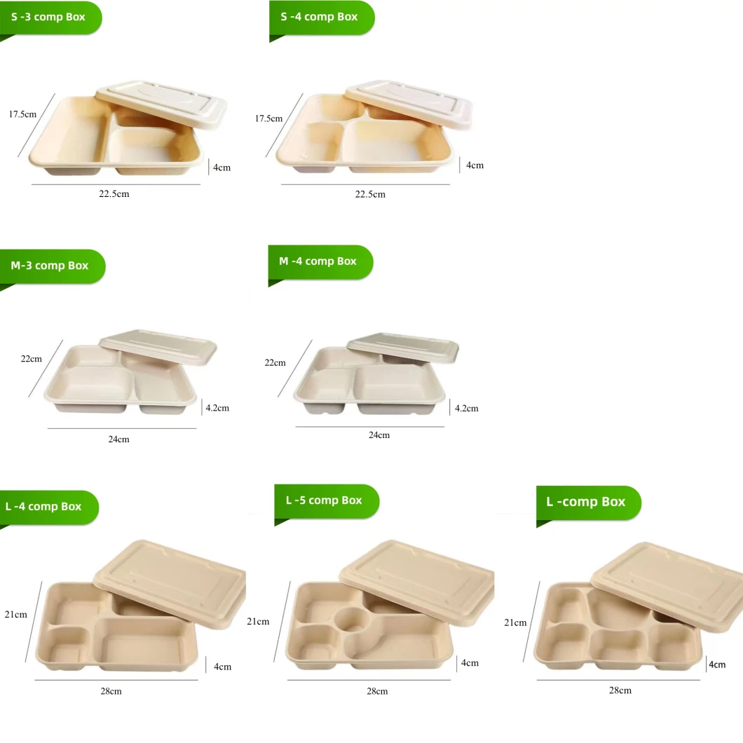 Disposable Biodegradable 4 Compartment Sugarcane Bagasse Tray Square Containers Fast Food Lunch Box Packaging